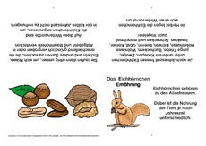 Eichhörnchen-Faltbuch-Ernährung-B.pdf